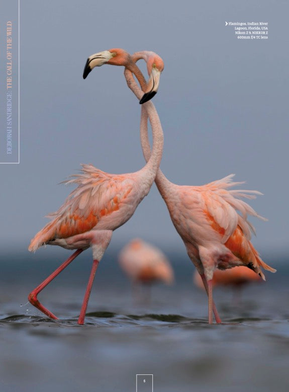 Nikon Owner magazine Issue 88