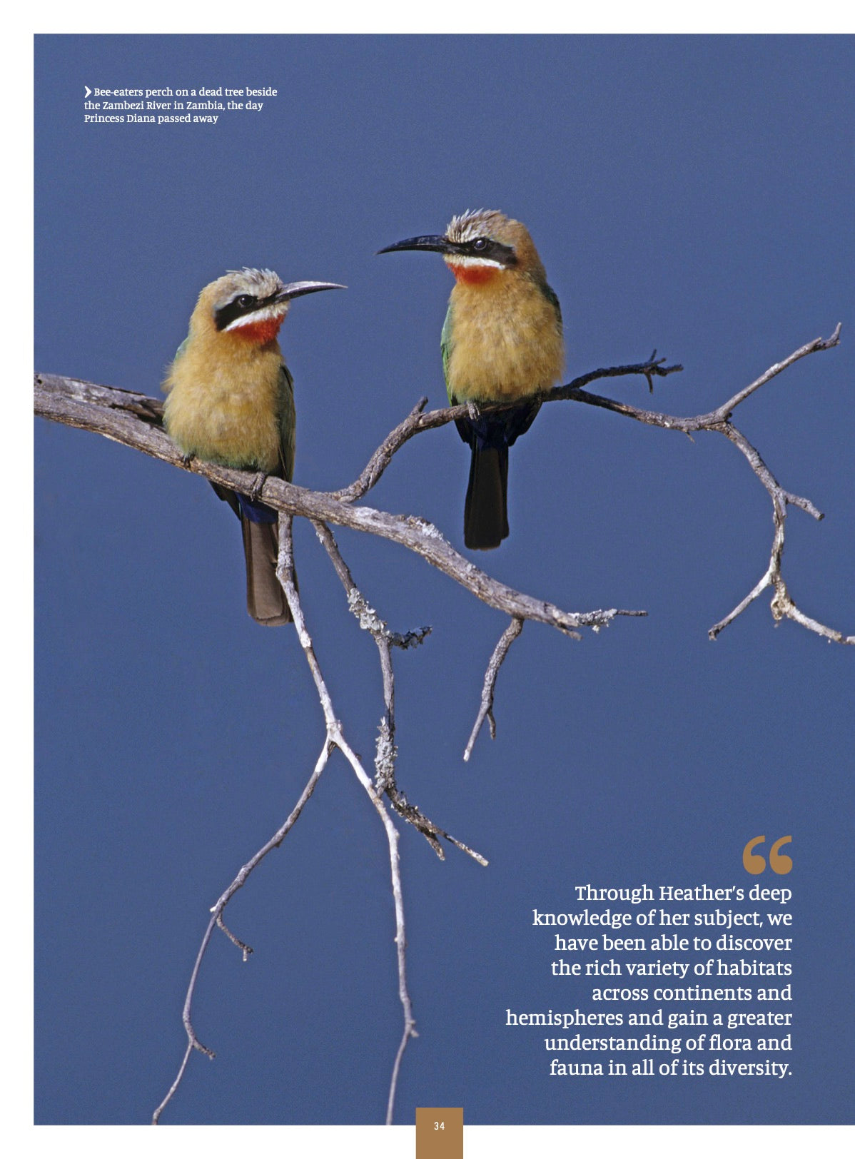 Nikon Owner Magazine issue 79